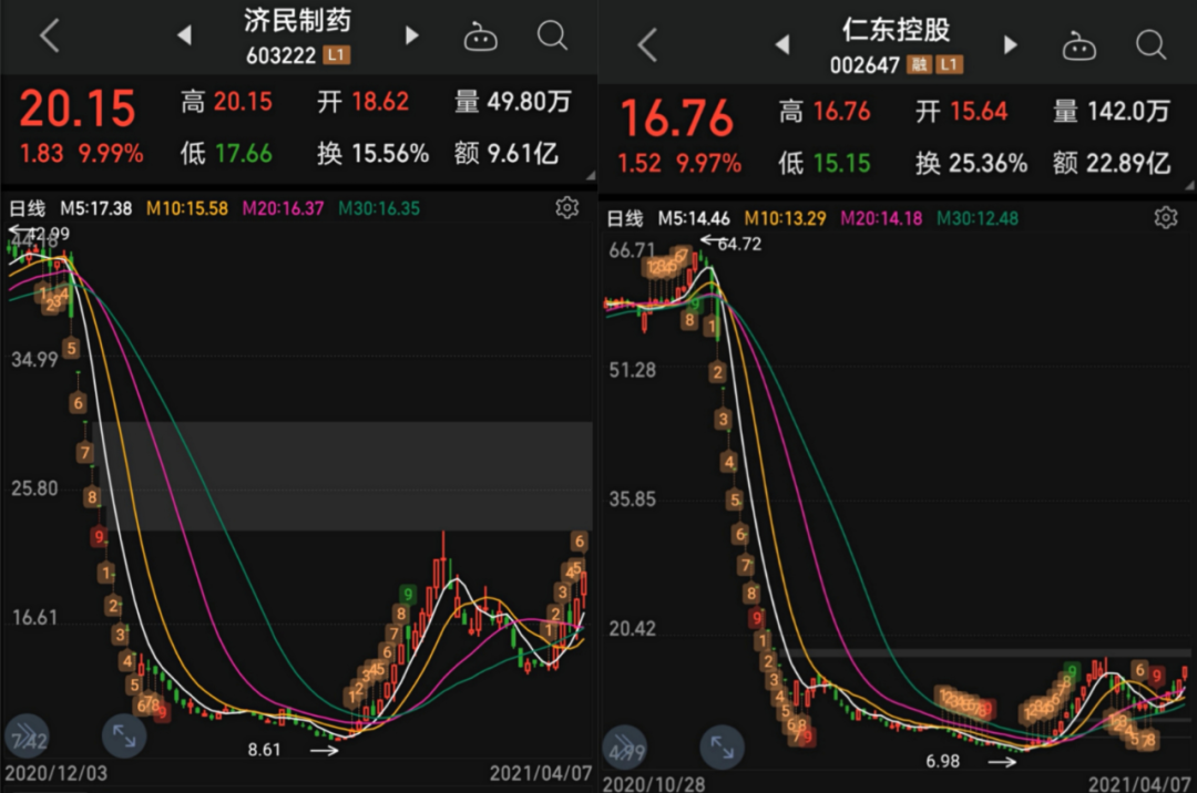 浙江6+1走势图新浪，数字背后的奥秘与趋势分析