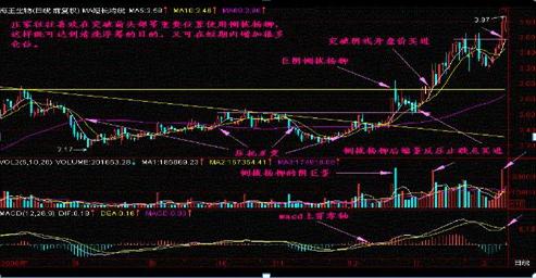 探索双色球最近1000期走势，数据背后的秘密与策略