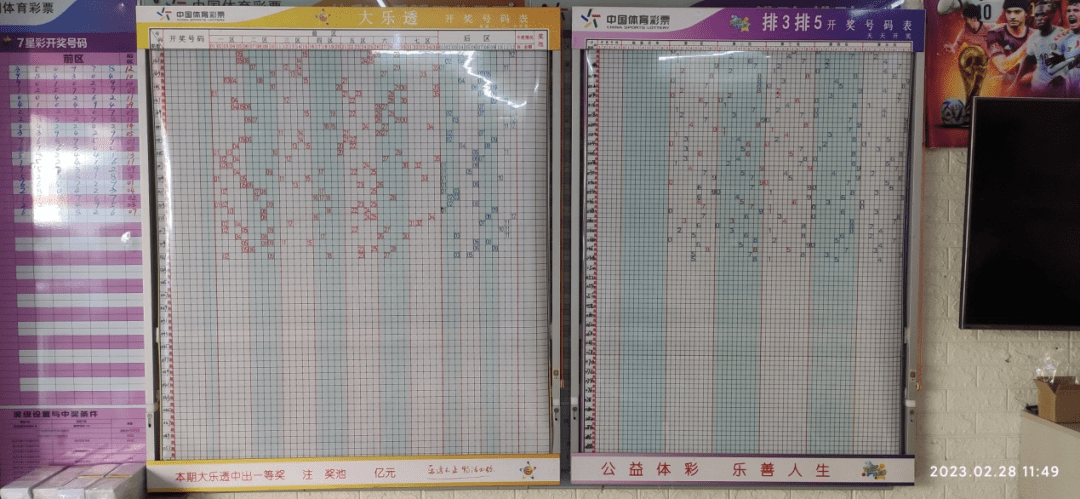 探索体彩和值尾走势图，揭秘数字背后的奥秘