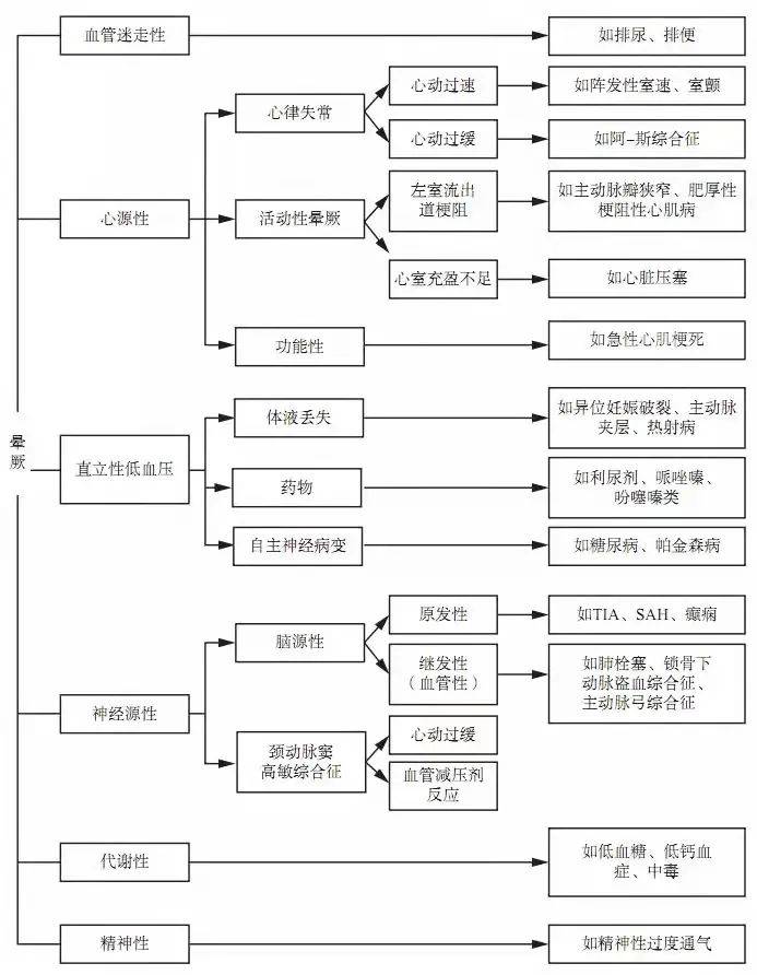 探索周二晚双色球，揭秘开奖号码背后的奥秘与乐趣