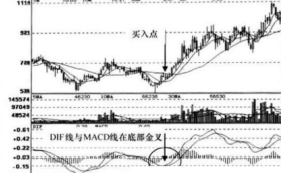 筹码分布，日线与周线的深度剖析