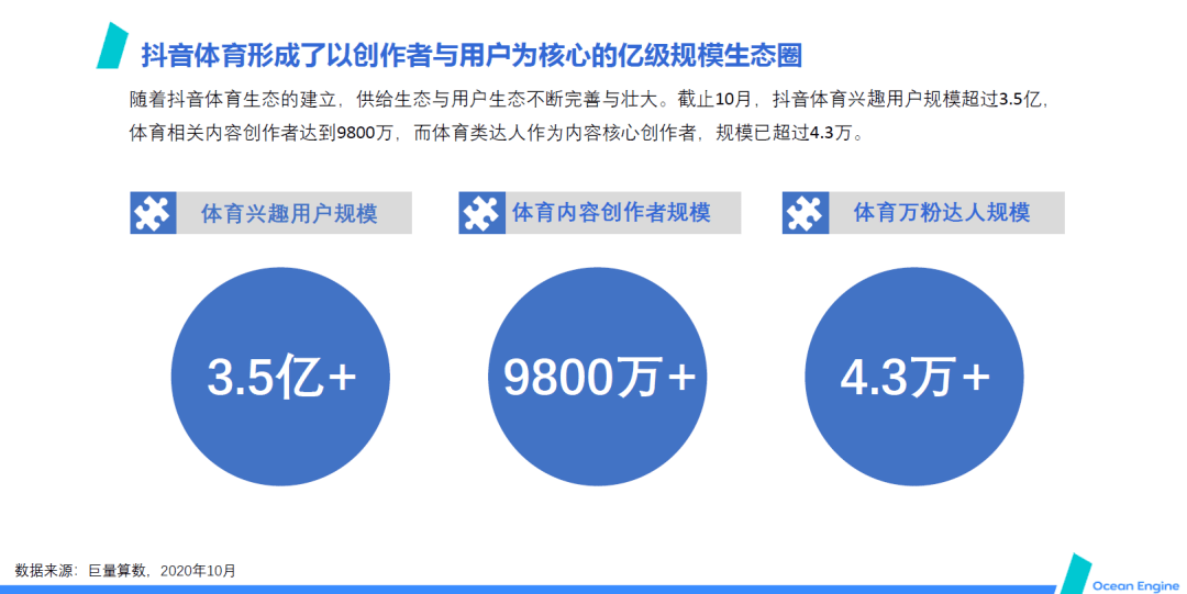 探索中国体育官方网，数字时代的体育新生态