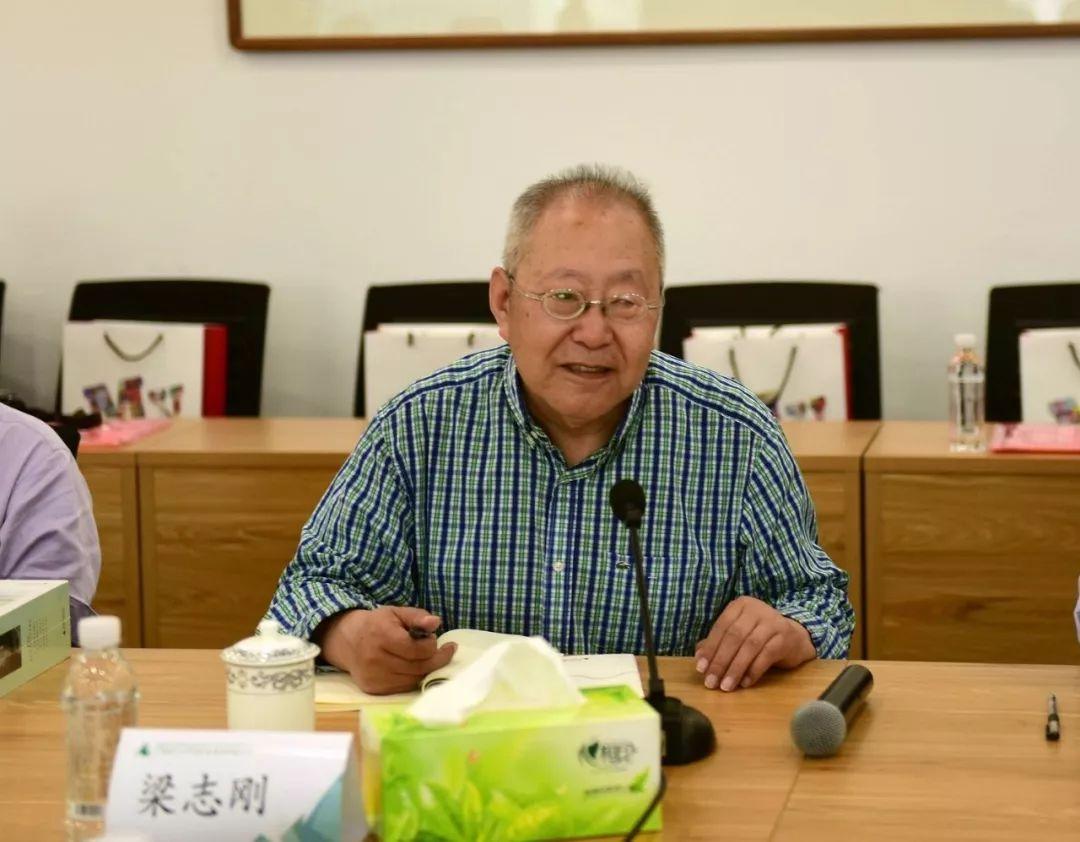 探秘布衣天下，一部展现古代平民生活智慧的电视剧