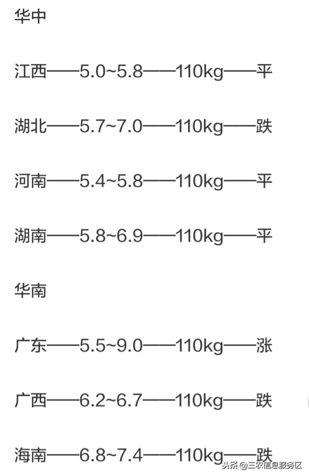 一定牛12选五走势图在浙江的独特魅力与理性分析