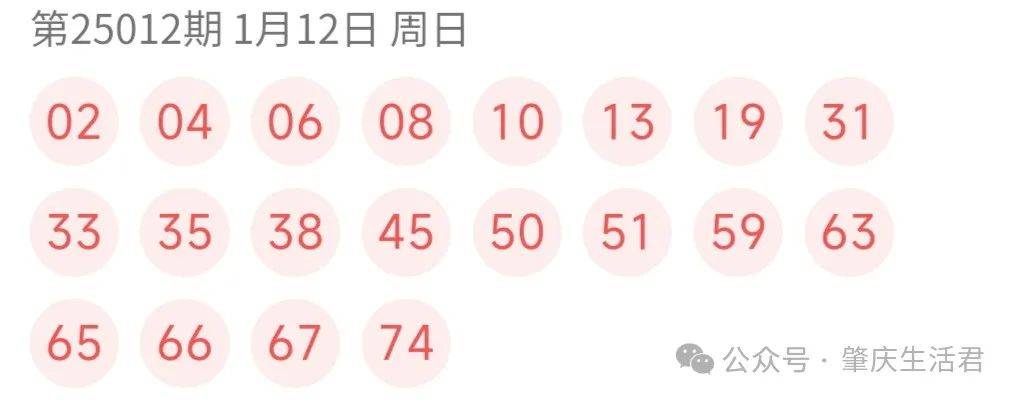 快乐8 2020024期开奖结果揭晓，幸运数字点亮生活