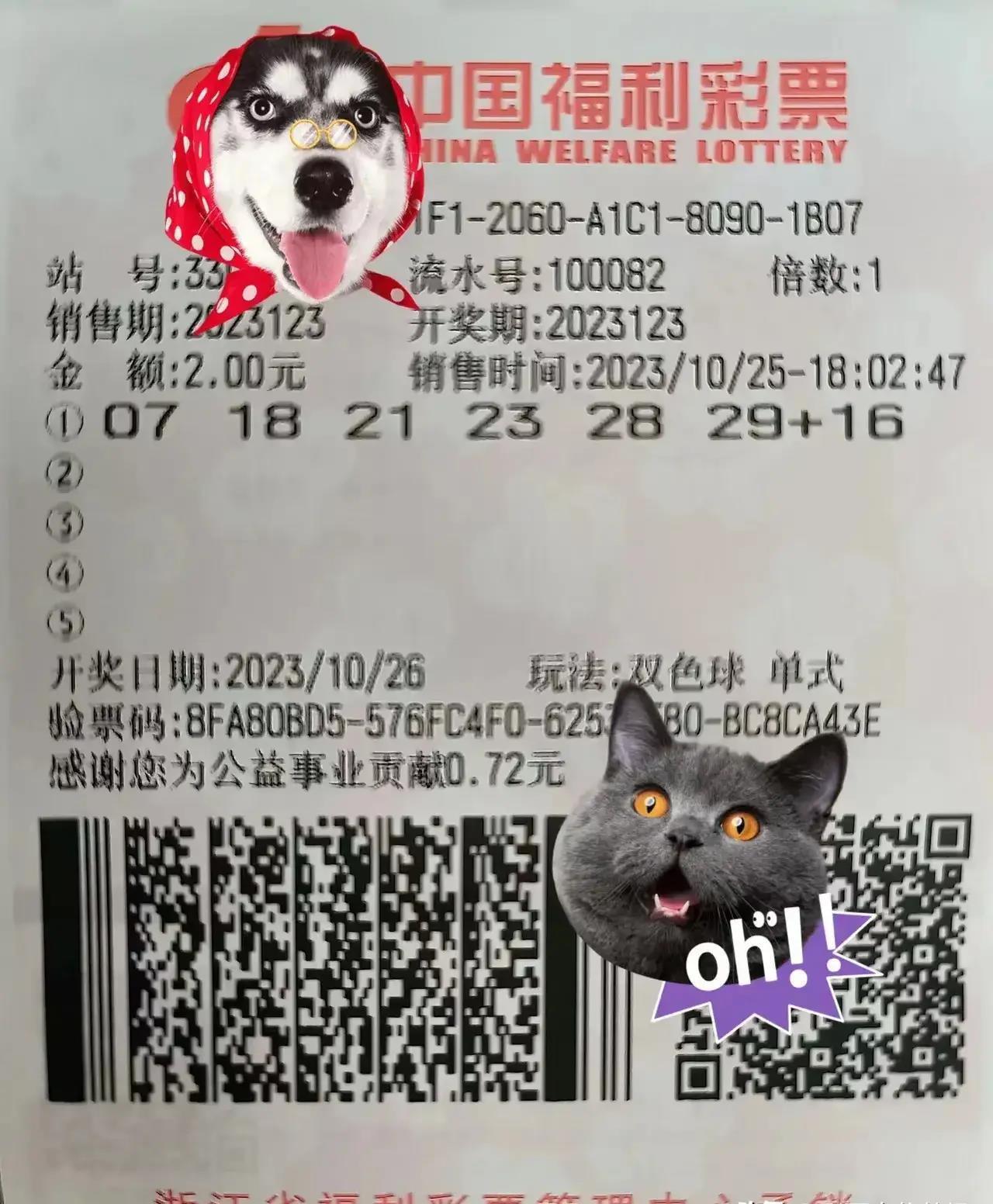 双色球123期开奖揭秘，等待与期待的交织