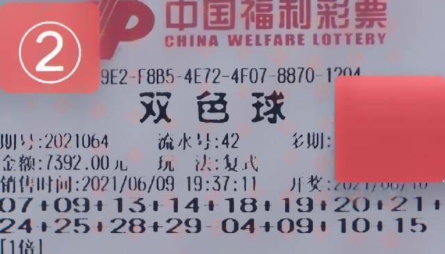 福彩3D大本营论坛交流区，彩民的智慧殿堂与梦想启航地