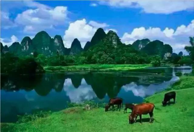 真精华，布衣的回归与正版布的魅力
