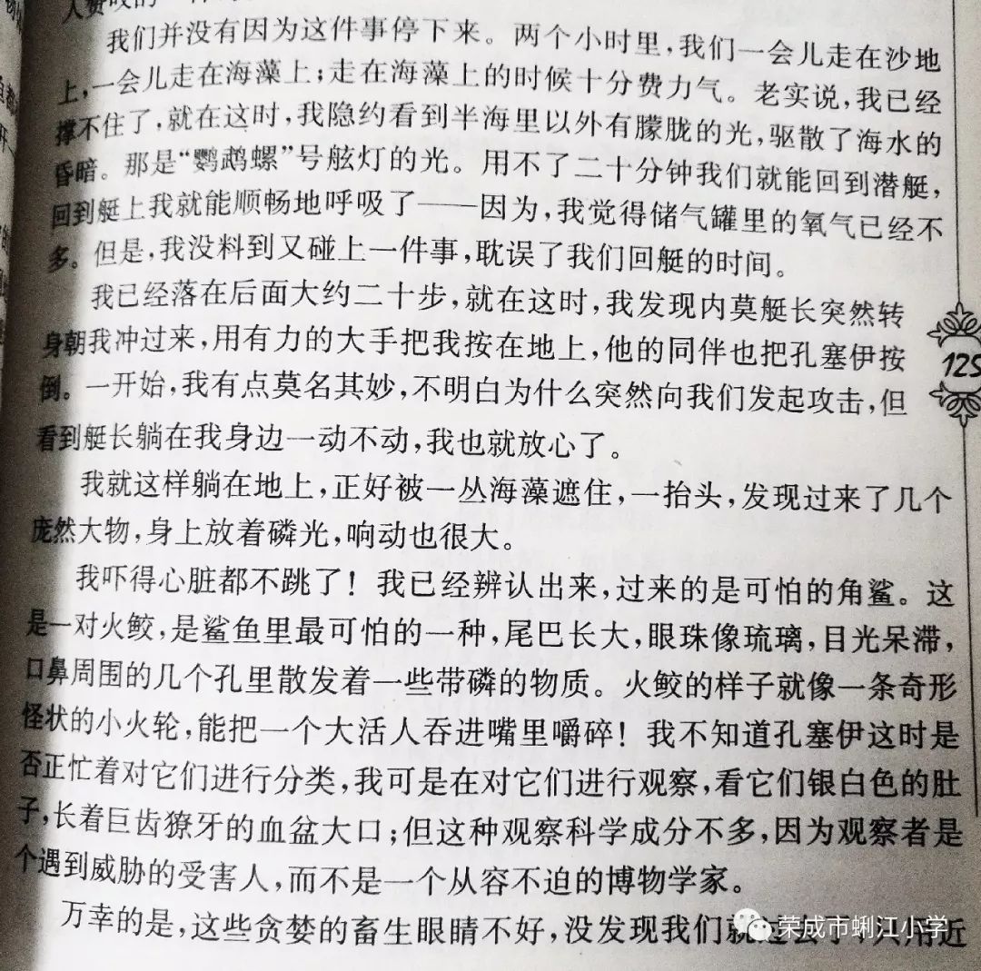 精彩片段摘抄，生活中的微光