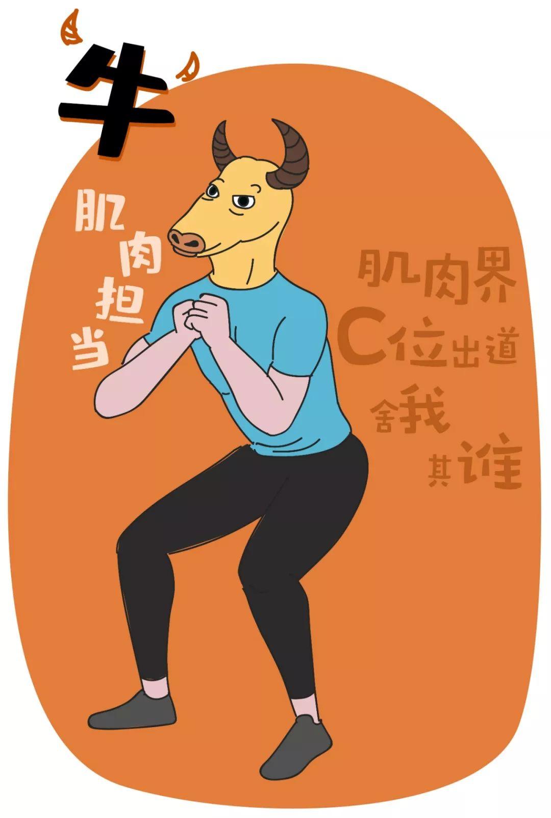 十二生肖卡，传统文化与现代预测的奇妙融合生肖卡预测规则