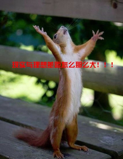第875页
