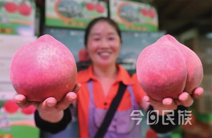 探索香港六，多元文化交融的魅力与挑战香港资料大全正版资料图片