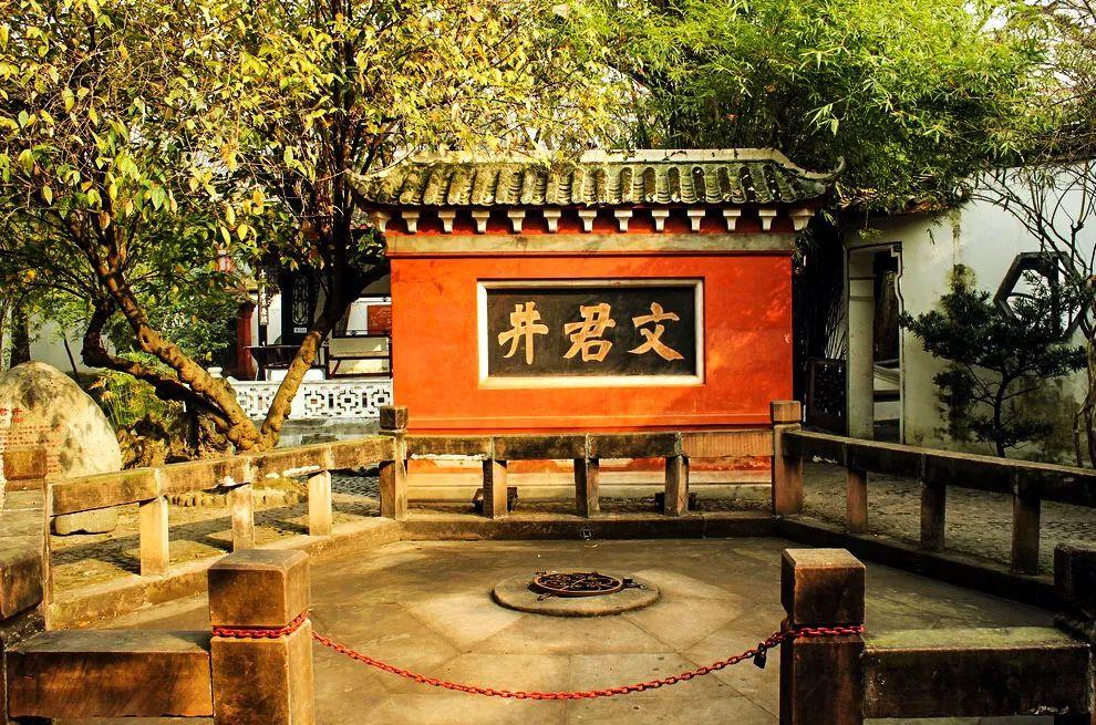 探索网络文化的深度，天长地久论坛的魅力与影响天长地久论坛快乐向前冲