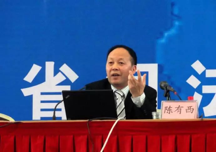 陈有西律师简介