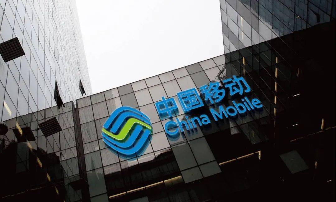 蓝姐平码论坛，数字世界的智慧灯塔蓝姐平码资料大公开