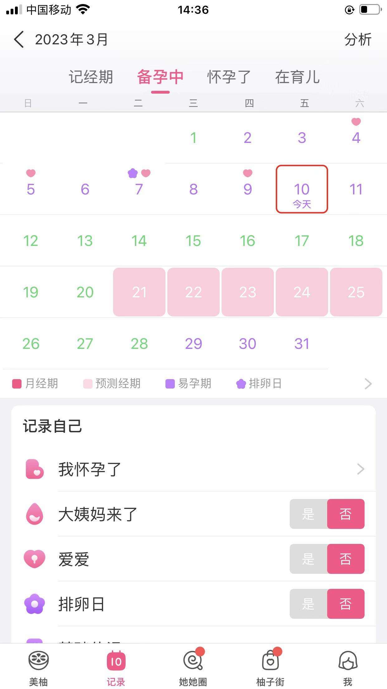 探索香港免费开奖2023，公益与娱乐的完美结合香港免费开奖记录公开一