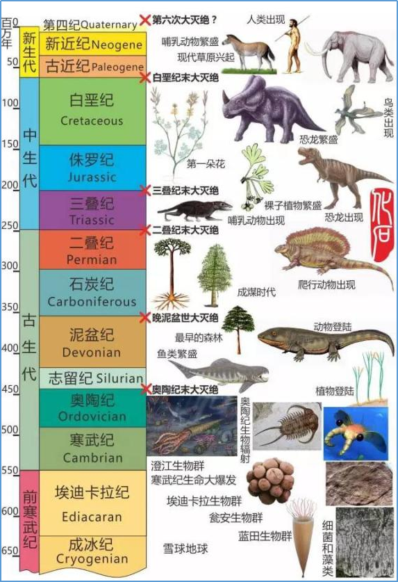 澳门开奖历史，从传统到现代的演变新澳门开奖历史记录查询结果