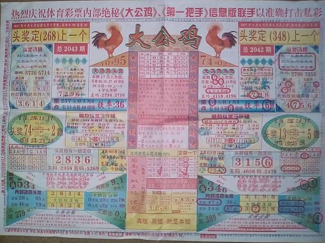 七星彩梦册解码大全，解锁幸运的秘密七星彩梦册解码大全册大公鸡 梦 到自己抓鱼