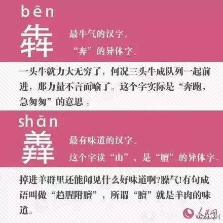 探寻二四六天天好彩的奥秘，每期文字赕料解析