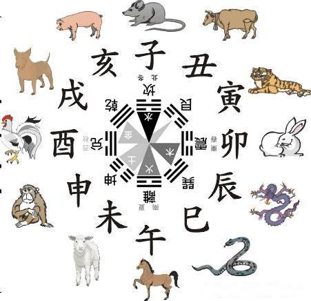 今晚9点30开什么生肖，揭秘中国传统文化中的属相游戏今晚9点30开什么生肖最准的