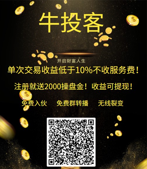 42198金牛网论坛，数字背后的网络交流平台42198金牛网论坛42260