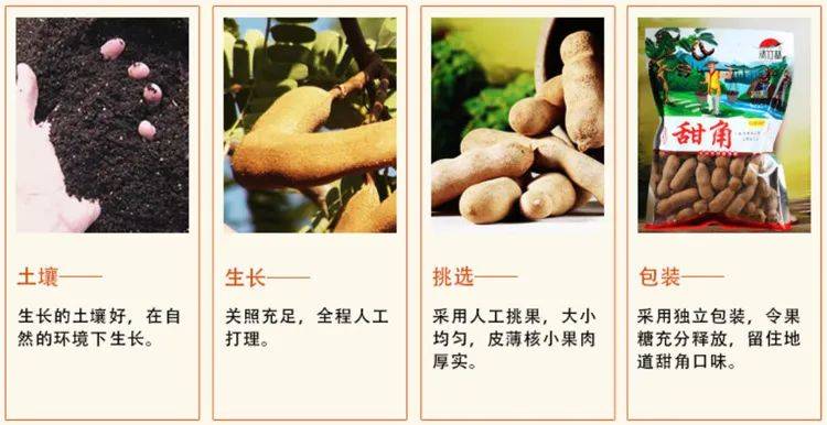 澳门6码复式三中三观影指南，揭秘在线视频的完整体验澳门复试三中三