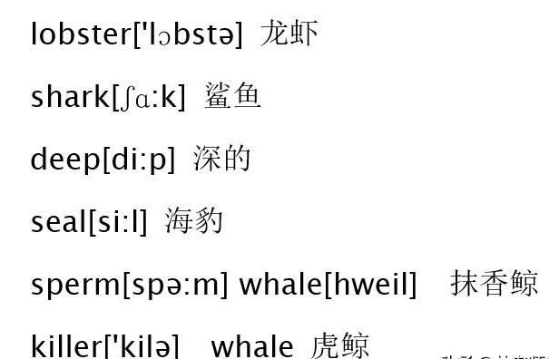 澳门6码经典短句英文单词，探寻幸运的奥秘澳门六码经典