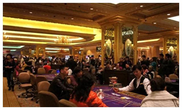 澳门六块牌照,金融与娱乐业顶级卡牌的深度解析澳门6块牌照是什么级别的卡啊多少钱一张