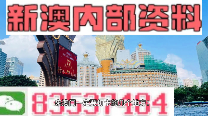 澳门6张牌照归属图详解视频，最新免费版下载与深度解析澳门6张牌照归属图详解视频最新免费版下载安装