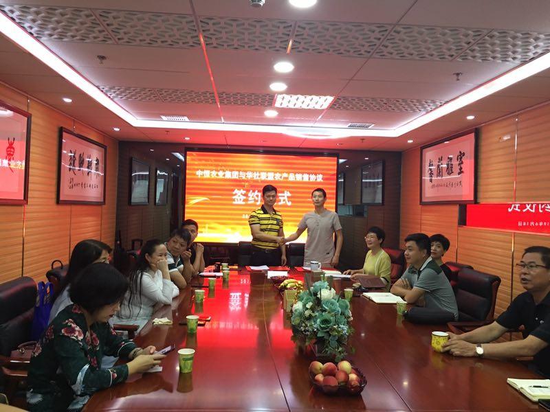 澳门六张牌照归属揭秘，最新图片视频与深度解析澳门六张牌照